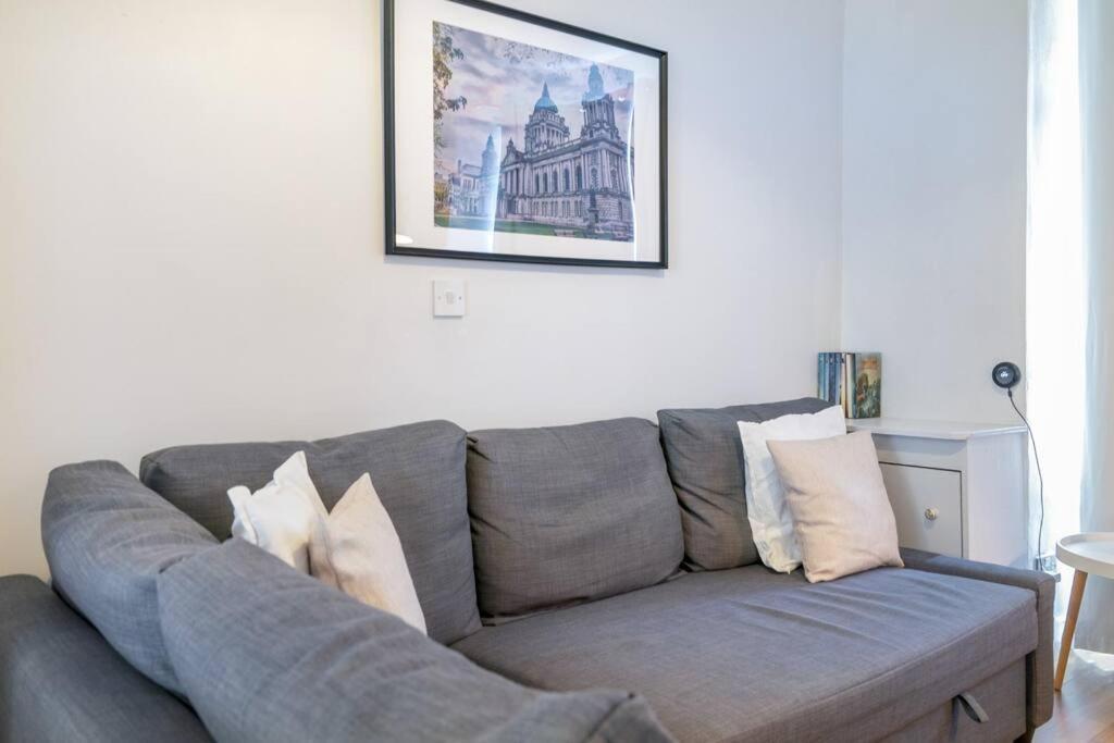 בלפסט Cosy 2 Bedroom Town House Close To City Centre מראה חיצוני תמונה