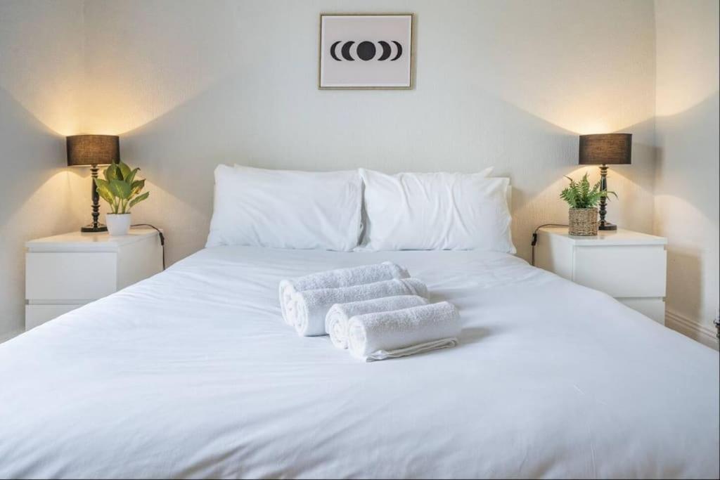 בלפסט Cosy 2 Bedroom Town House Close To City Centre מראה חיצוני תמונה