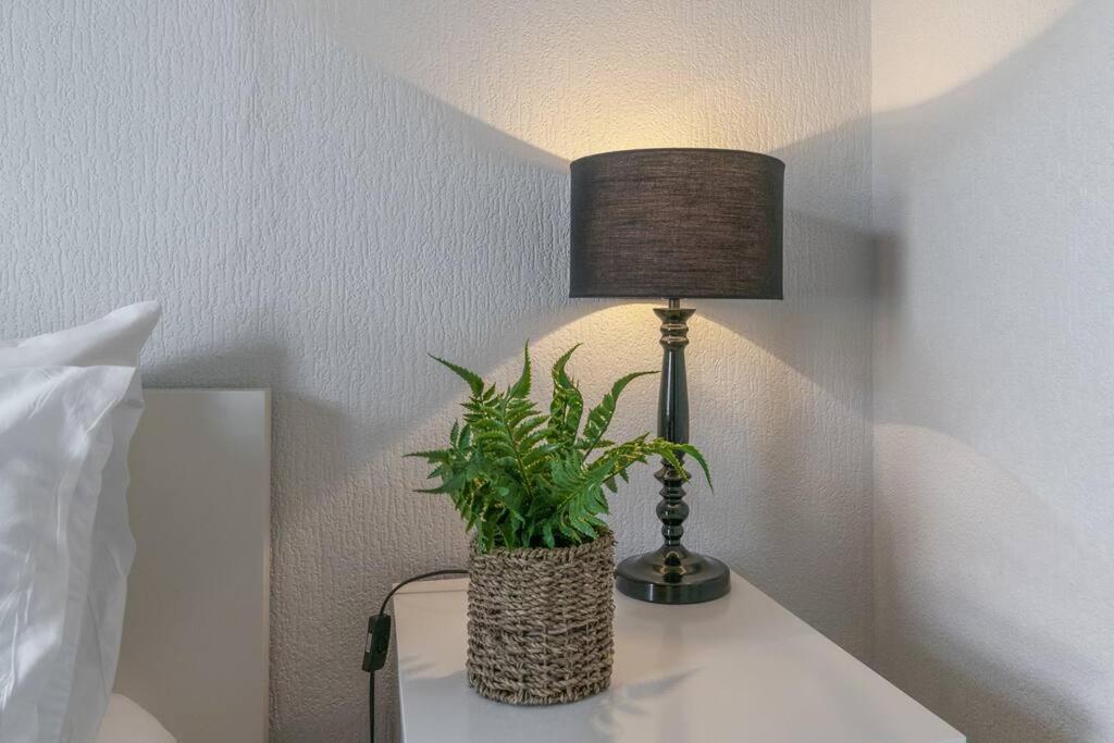 בלפסט Cosy 2 Bedroom Town House Close To City Centre מראה חיצוני תמונה
